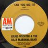 7-дюймовая пластинка JULIUS WECHTER  BAJA MARIMBA BAND  Can You Dig It 1136 AM Records  Джаз США Б/у