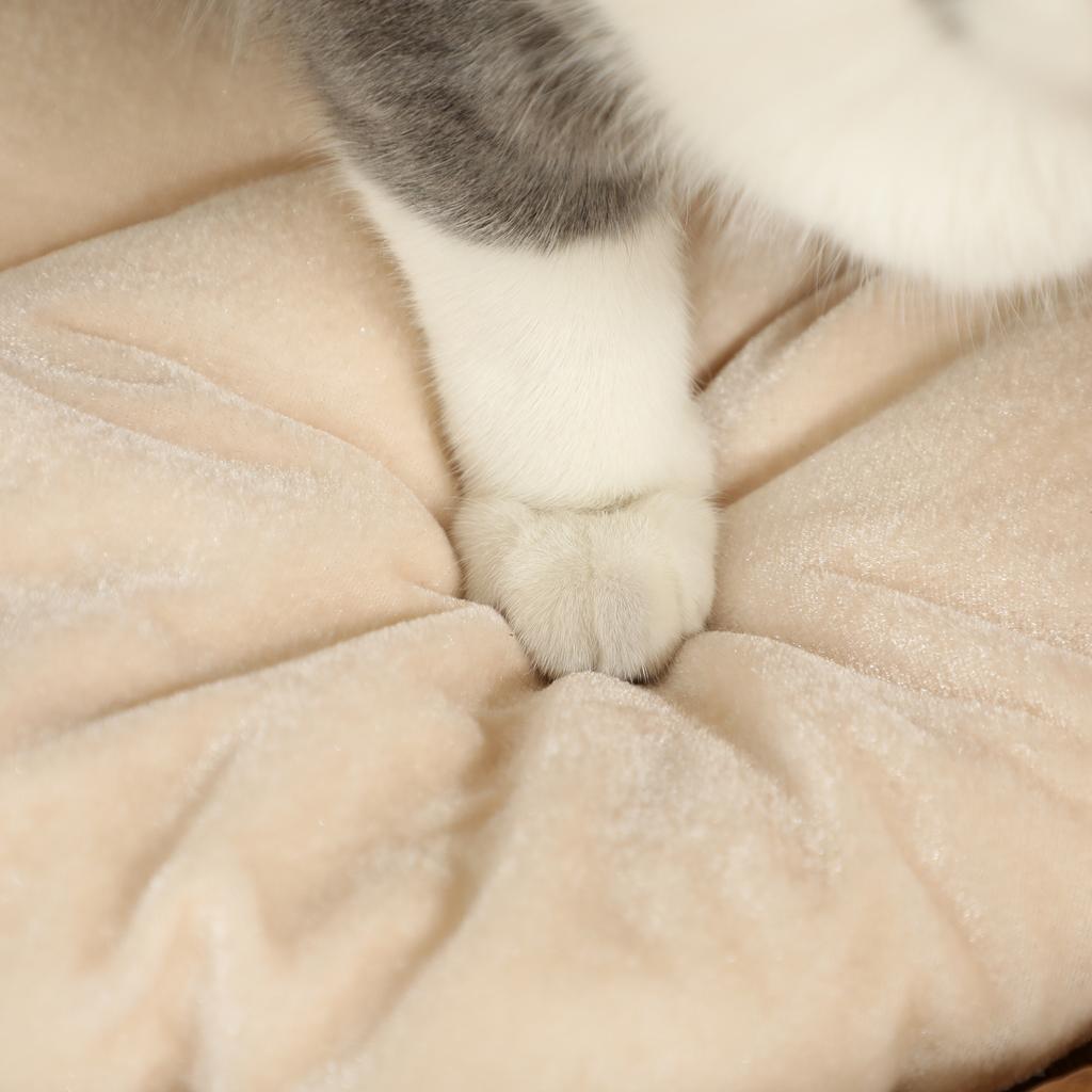 Scratching Barrel, 50 cm, 2 Caves, Cushion, Scratching Post with Cat Bed, Cat Tower made of Water Hyacinth, Light Brown