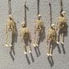 6Pcs Halloween Hanging Skeleton with Rope Halloween Party Plastic Skull Decoration for Home Garden Haunted House Props Kids Toy