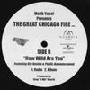 12-дюймовая пластинка MALIK YUSEF - Malik Yousef Presents The Great Chi MALIK001 Zoawe Records 2003 UK Рэп и Хип-Хоп/R&B Б/У