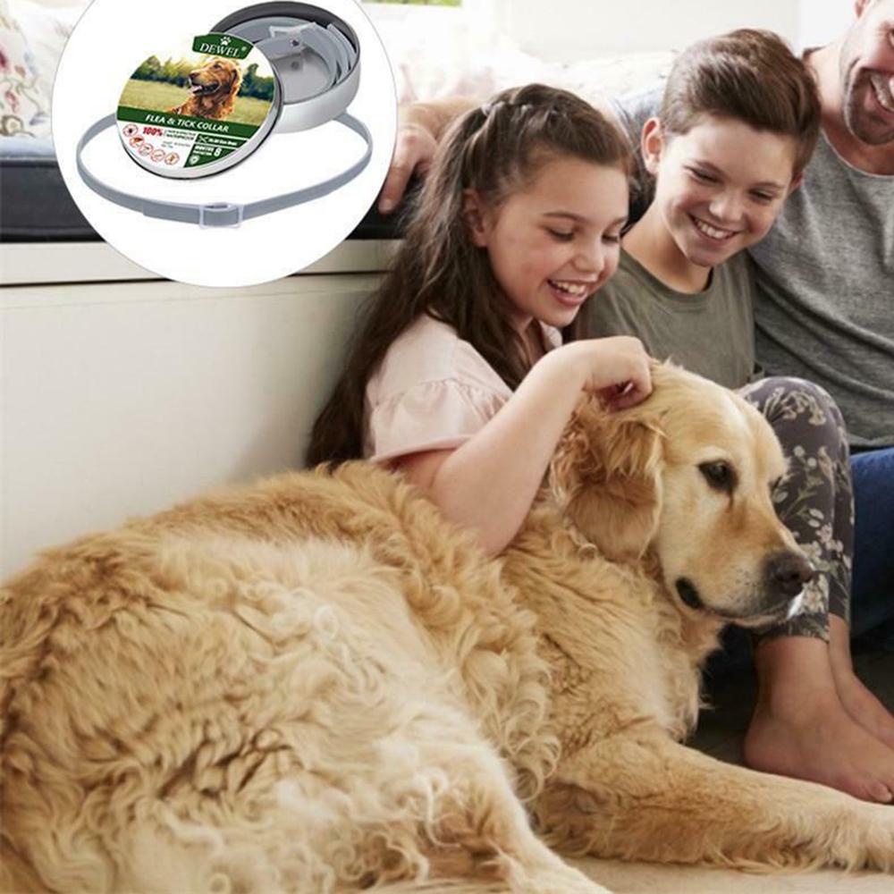 Ошейник от паразитов для собак/кошек