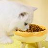 Миски для кошек пастельных цветов - Приподнятые миски для питомцев на 4 ножках, Тарелки для кошачьего корма, Принадлежности для кормления питомцев
