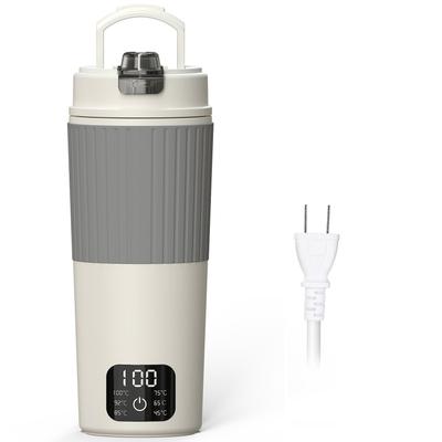 Aliliy Electric Kettle, Small 600ml, Portable, International Voltage, 6 Temperature Settings, Keep Warm Function, Travel Kettle, 400W Energy Saving