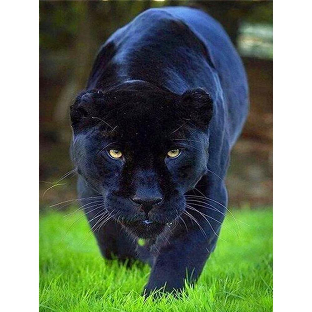 Алмазная вышивка Животные