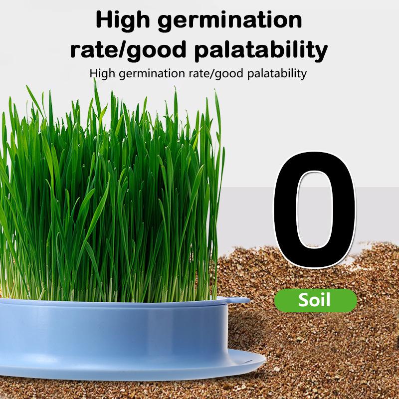 Mint Cat Grass Pot Soilless Hydroponic Lazy Cat Grass Planting Box Catnip Promote Digestion Cat Snacks Planting Container Tools