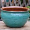 Extra Large Ceramic Bonsai and Succulent Pot for Bougainvillea