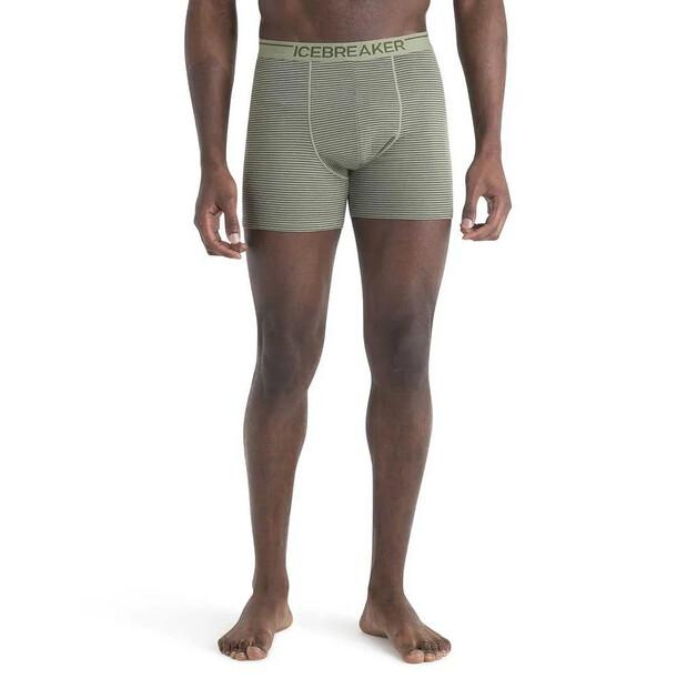 Icebreaker Anatomica Boxers