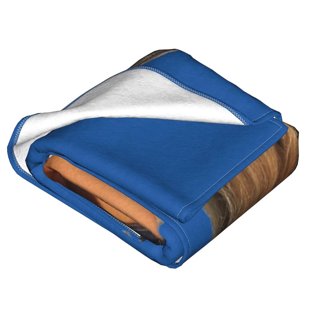 Super Soft Sabrina Carpenter Short N' Sweet Tour Throw Blanket Premium Fleece Flannel Lightweight Bed Blanket All Season Use