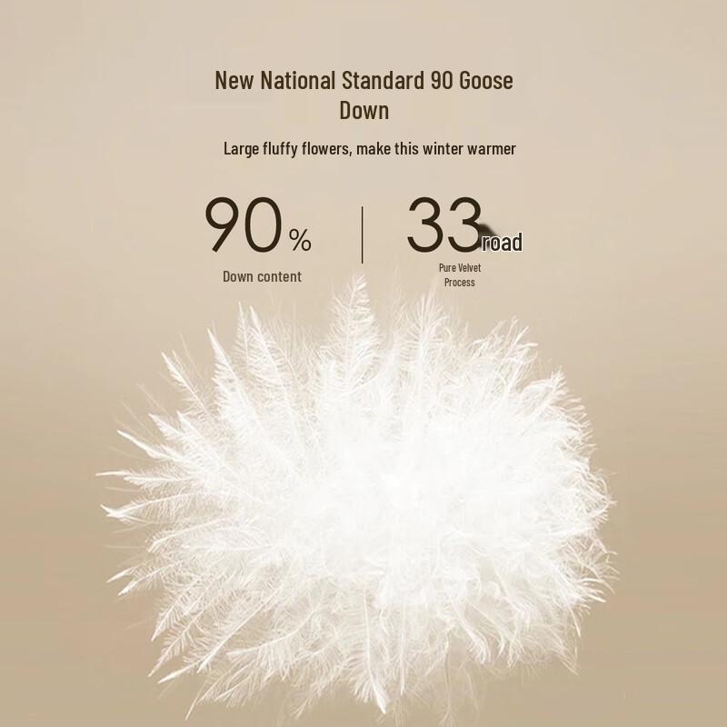 Antonio Men's Lightweight 90% Goose Down Business Casual Jacket