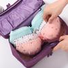 Multifunctional Travel Lingerie Organizer: Waterproof, Large-Capacity Bra Storage Bag