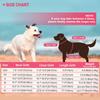 Dog Life Jacket Dog Life Vest for Swimming Beach Boating with High Buoyancy Summer Pet Flotation Vest for Small Medium Large Dog