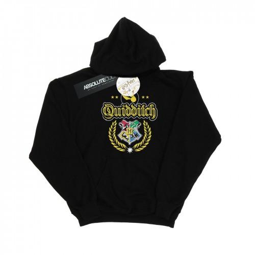 Harry Potter Boys Quidditch Crest Hoodie