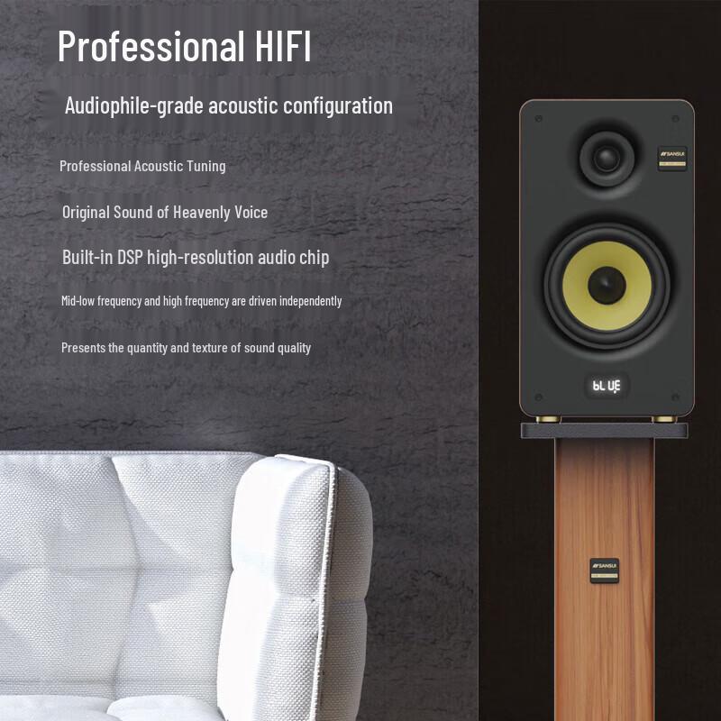 SANSUI S850 Home Theater KTV Audio System