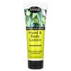 Moisturizing Hand & Body Lotion, Cucumber Melon, 8 Fl Oz (238 Ml)
