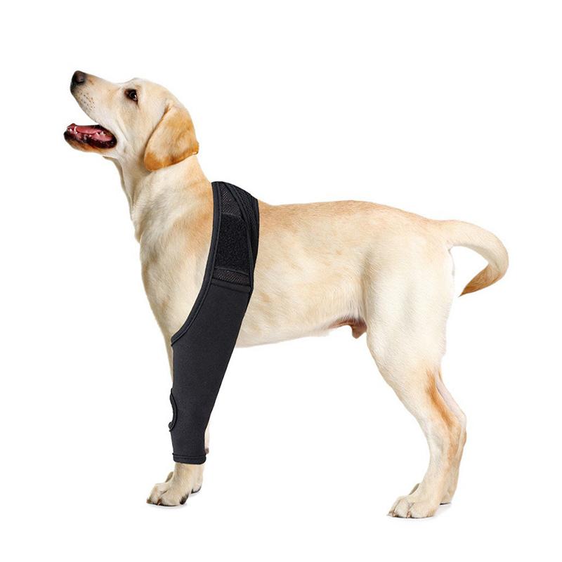 Наколенники для домашних животных, поддерживающий бандаж для собак, дышащий, травма, восстановление, повязка для ног, поддержка связок, уход за травмами, повязка для собак, товары для домашних животных