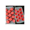 Versatile Silicone Mold For Chocolate Ice Cubes Fondant Soap Jello Candy Molding
