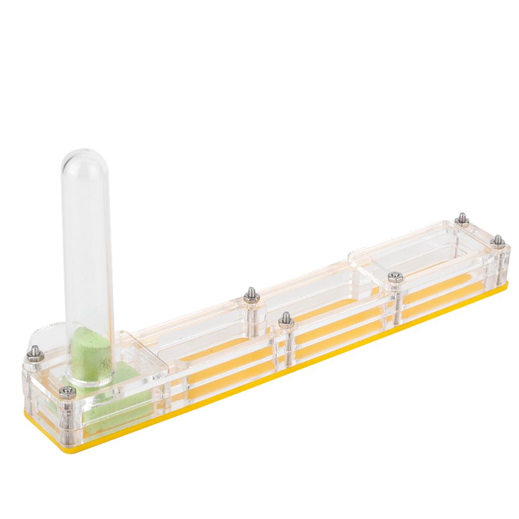 Acrylic Ant Breeding House Nest Formicarium Display Box with Water Tower Moisturizing