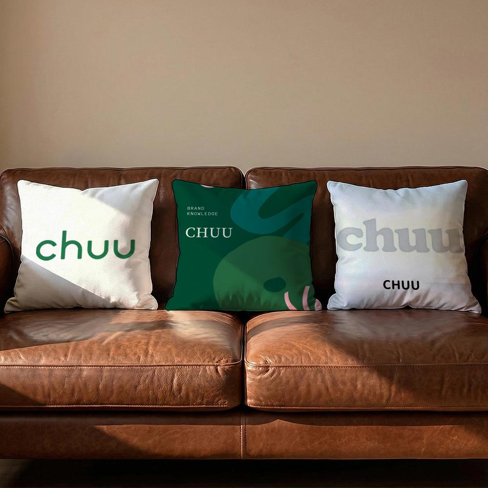 Korea Brand CChuu Cushion Cover Soft Reversible Durable Pillow Cover MultiScene Use for Home Car Daily Comfort