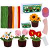 Chenilles Stems Art Set for Potted Plant Includes Step By Step Guide and Craft Materials for Beginner