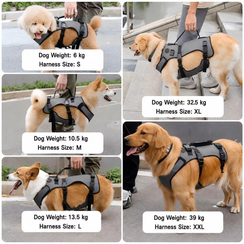 Adjustable Dog Rehabilitation Vest Breathable Pet Support Sling Senior Dogs