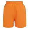 Regatta Childrens/Kids Skander III Plain Swim Shorts