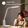 Haoshili TG035 Eye-Protection AA-Grade LED Desk Lamp