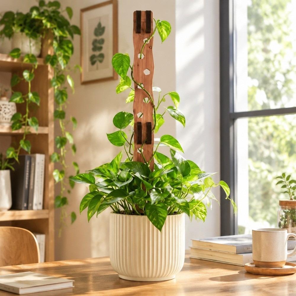 Hollow Out Plant Climbing Trellis Wooden Plant Stand Plant Support Frame Indoor