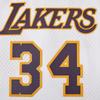 Официальная баскетбольная майка НБА Mitchell & Ness Lakers