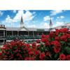 Kentucky Derby Run to the Roses Backdrop - Equestrian & Horse Racing Photo Booth Banner