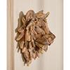 Naturecraft Resin Driftwood Collection Lion Head Wall Art