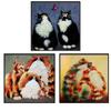 5D Diy Diamond Painting Animal Persian Cat Picture With Rhinestone Embroidery Cross Stitch Diamond Mosaic Handmade New Year Gift