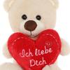 CEJAMA Teddy Bear Plush with Heart - 25 cm Cuddly Stuffed Animal with Love Message for Valentine's Day, Birthday, Anniversary, Mother's Day Gift