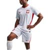 Nike Польша Aero-Fit Домашняя версия для игрока Быстросохнущая Дышащая Пуловер Короткий рукав Футбольная футболка Мужские топы IO8528-100