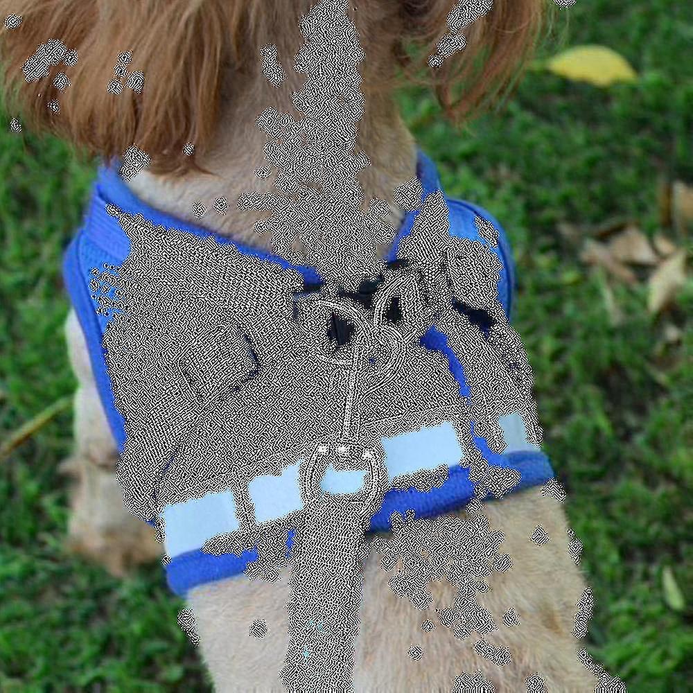 Cat Harness, Cat Harness Escape Proof