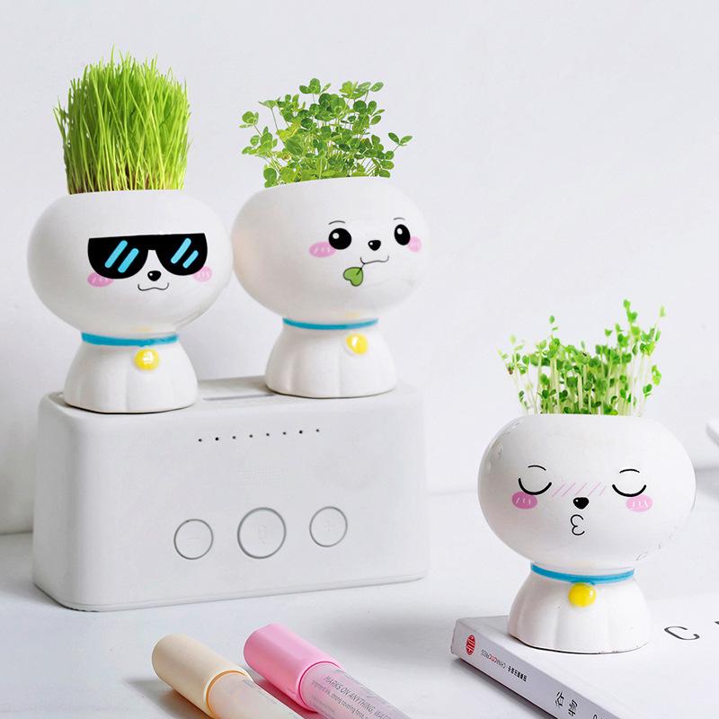 Creative Potted Plant Gifts for Kindergarten Birthdays and School Prizes
