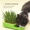 Cat Grass Box Cat Snack Hydroponic Soilless Planting Cat Grass Pot Set Helps Cat Digest Cat Snack Cat Grass Box Cat Food Bowl