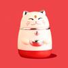 Коробка для зубочисток Lucky Cat Форма Pree Тип Автоматический всплывающий дом Гостиная Столовая Диспенсер для зубочисток Держатель для хранения зубочисток Контейнер
