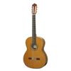Классическая гитара ASTURIAS PRELUDE/C + суперлегкий кейс в комплекте