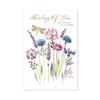 Simon Elvin Thinking Of You Sympathy Greetings Card (Pack of 6)