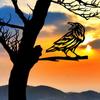 Rustic Metal Raven Bird Silhouette – Unique Outdoor Garden Decor, Perfect Housewarming Gift, Ideal for Garden Party Decoration