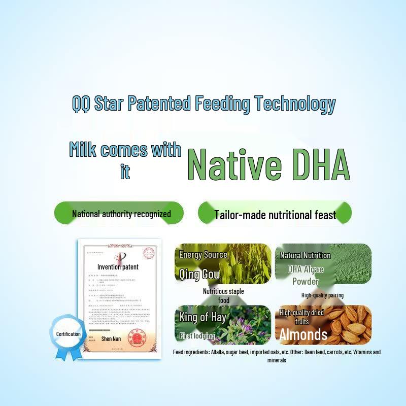 Yili QQ Star Native DHA Kids Milk
