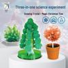 Xueyou Ma Blooming Crystal Christmas Tree - Magic Growing Kit for Science Lovers