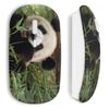 Wireless Mouse - MANIACASE - Cute Panda - USB Wifi Key Included - Compatible Mac and PC - White