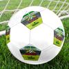 Rapid Wien Size 5 Soccer Ball, Machine-Stitched PVC, Durable & High Bounce, All Ages Fit, fan merchandise, matches & outdoor use.