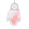 Dream Catcher Flower Colored Beads and Feathers Banks and Red