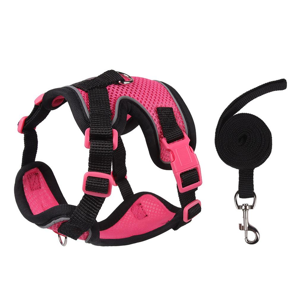 Kitten & Small Dog Harness, Anti-Escape Outdoor Pet Chest Strap, Secure for Walking, Adjustable & Comfortable