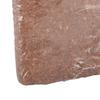 4PCS Coconut Coir Brick Improve Soil Quality Promote Plant Growth Compressed Coconut Soil for Gardening