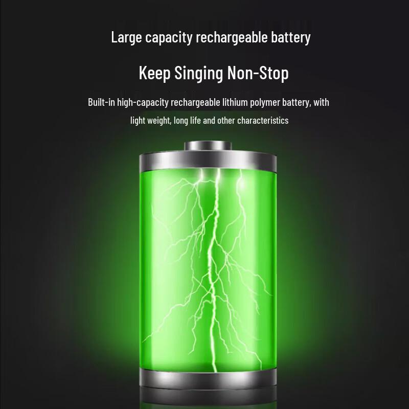 Huido NB-400L Professional Portable Live Stream Recording Speaker System