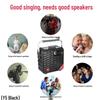 Malata M+9019 Portable Karaoke Bluetooth Speaker (CN version)
