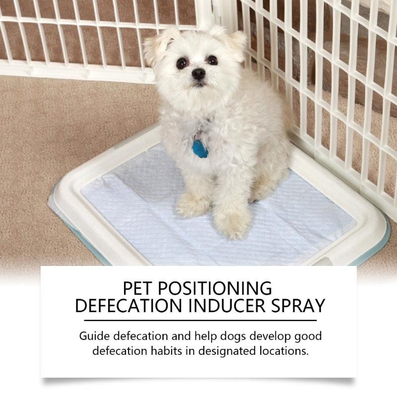 50ml Pet Potty Training Sprays Gentle For Daily Use Help Pet Adapt Quickly To Designated Area Reducing Potty Accidents